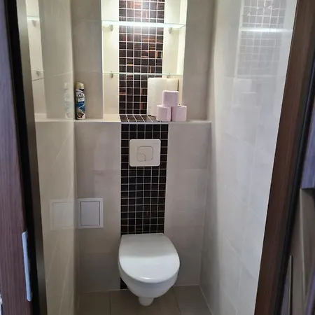 Apartament U Maryski Apartment *